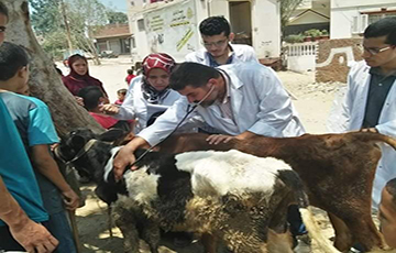 latest news image