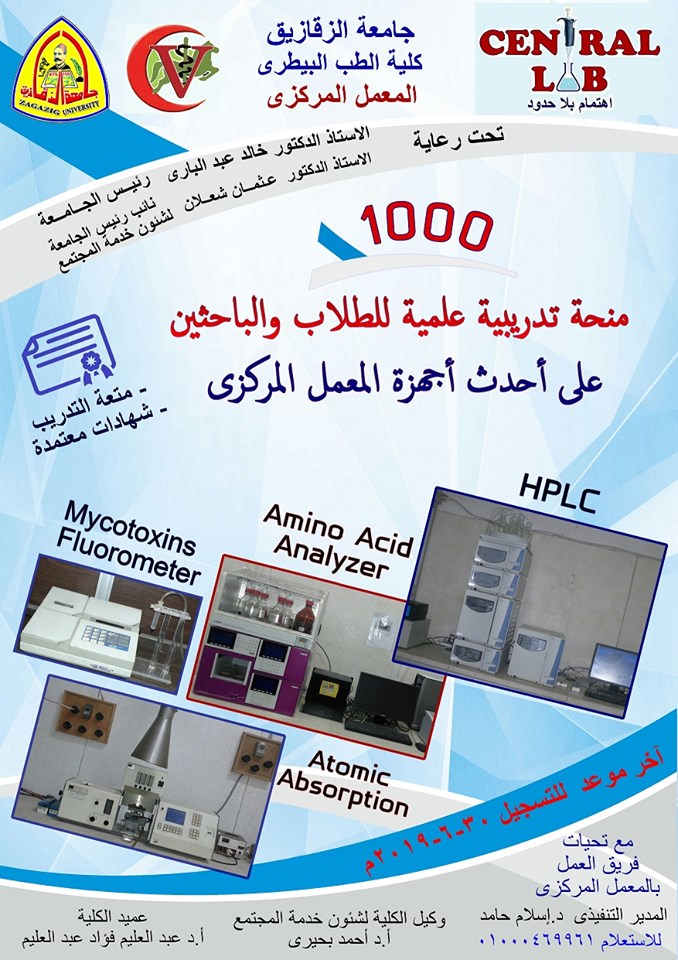 blog details image
